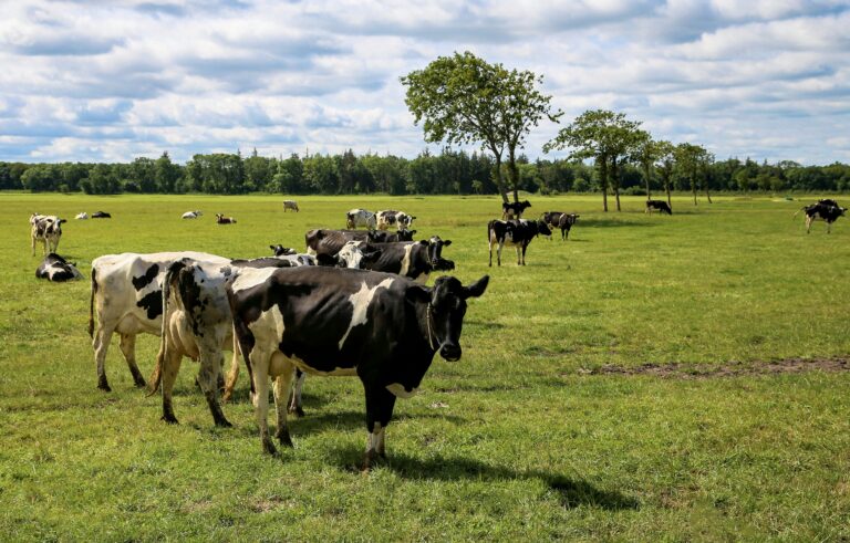What Is a Herdshare? The Complete Guide to Raw Milk Memberships (2026)